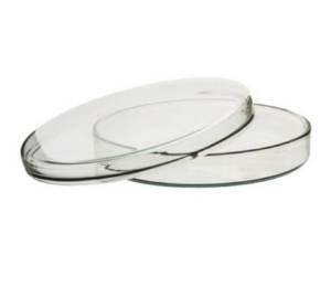 Petri Dishes